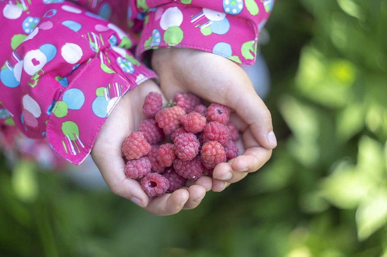 The Importance of Dental Check-ups for Oral Health