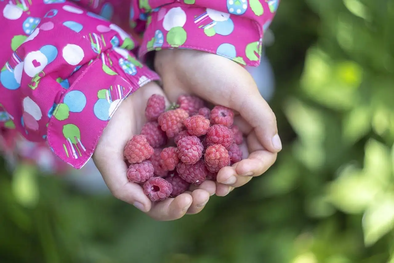 The Importance of Dental Check-ups for Oral Health