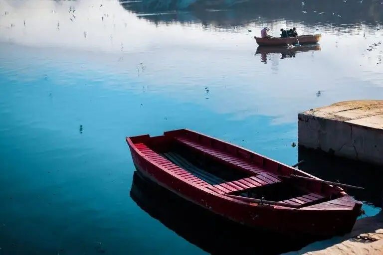 The Impact of Economic Inequality on Voter Sentiment and Electoral Outcomes