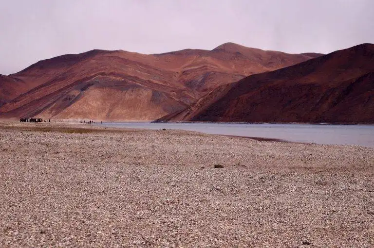 The Role of Judicial Activism in Shaping Election Laws and Procedures